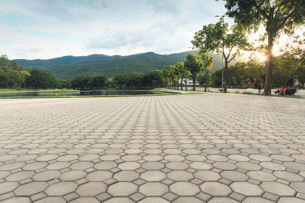 Best Brick Driveway Pavers  in Eagle Pass, TX